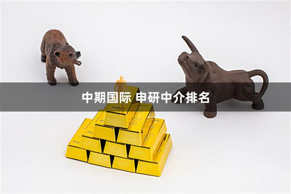 中期国际 申研中介排名